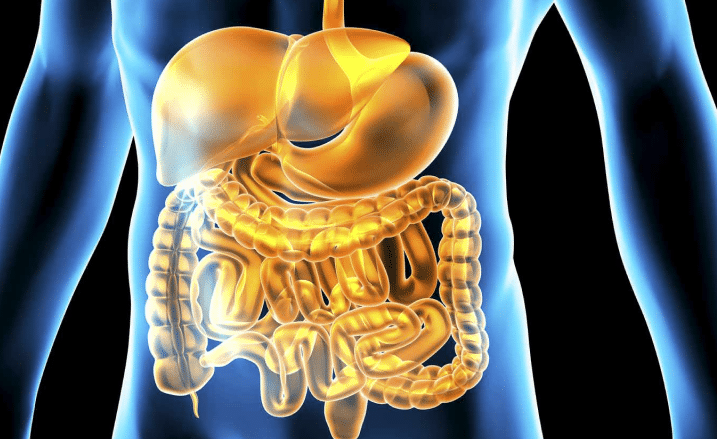 ¿Qué es la salud intestinal y por qué es más importante de lo que crees?